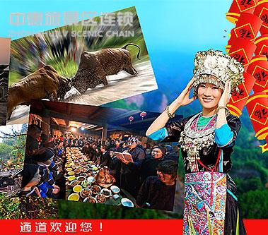 【2015春节去哪儿】心“侗”七天 通道过大年