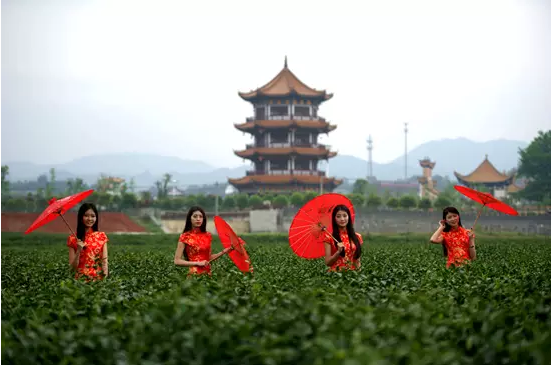 中惠旅沩山温泉山庄，灵动的避暑胜地