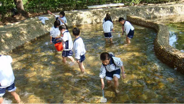 浏阳古风洞给你私人定制的一场20℃夏令营
