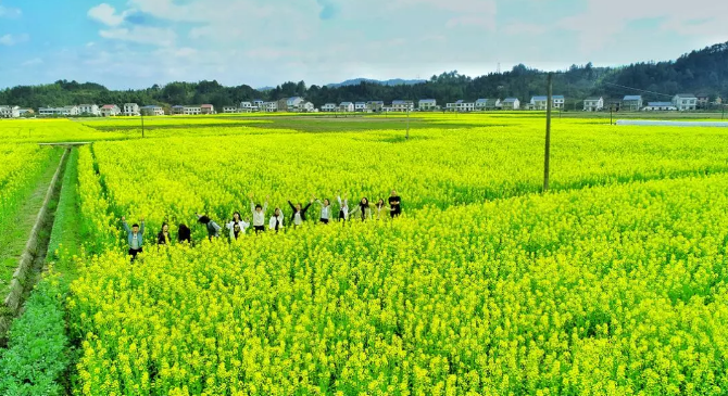 钟南山说“开放景区很必要”, 平江石牛寨邀你赏万亩油菜花，呼吸新鲜空气！