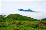 西瑶绿谷景区