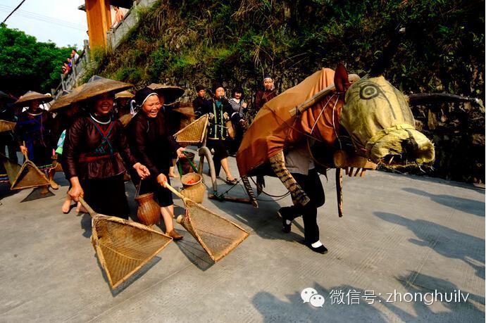 闹春牛 闹春牛