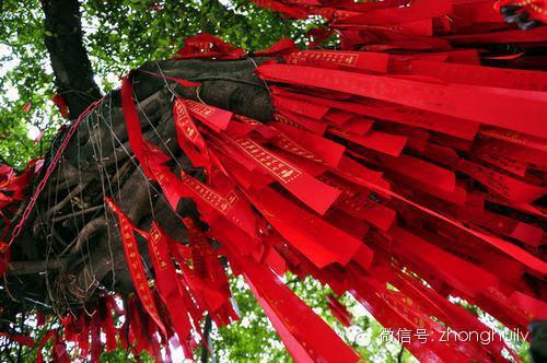 登高祈福 登高祈福