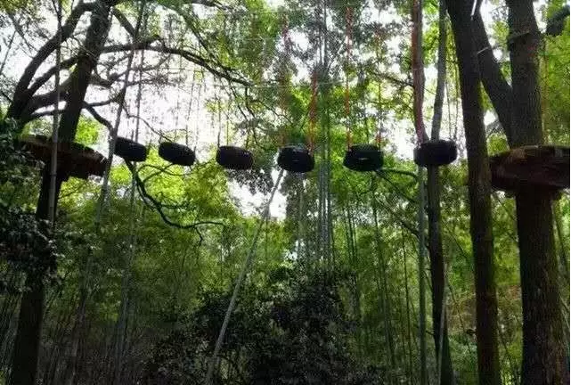 石燕湖丛林穿越