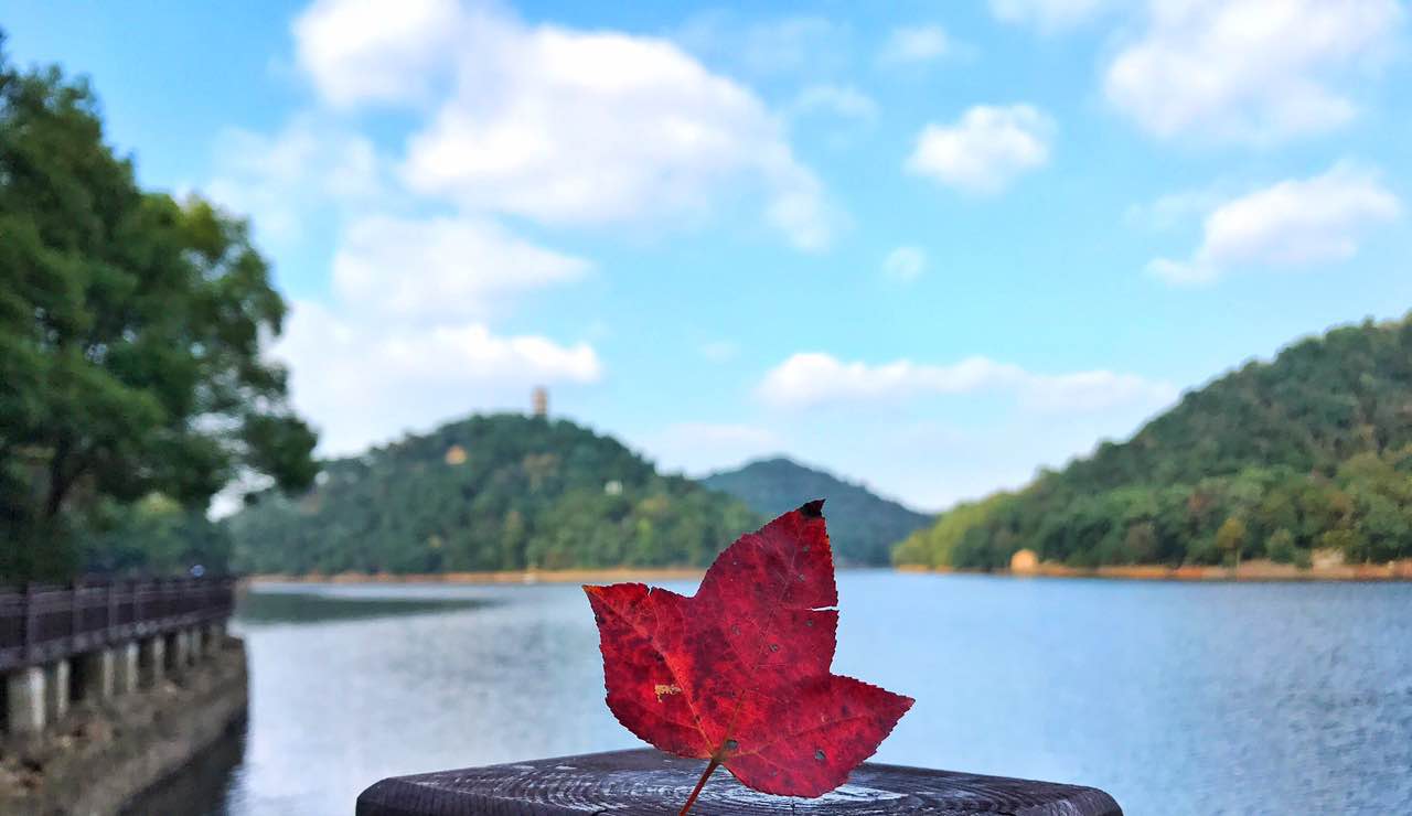 在石燕湖景区跟着心去旅行