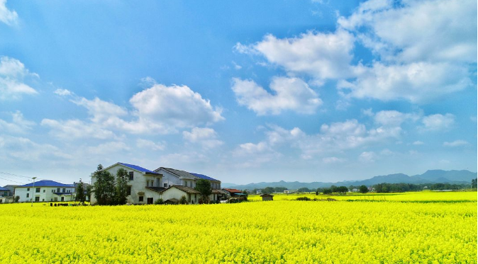 岳阳周末游,岳阳周边好去处,长沙周边好去处,长沙周边游玩景点,长沙周边游目的地 岳阳周末游,岳阳周边好去处,长沙周边好去处,长沙周边游玩景点,长沙周边游目的地