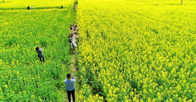 岳阳周末游,岳阳周边好去处,长沙周边好去处,长沙周边游玩景点,长沙周边游目的地 岳阳周末游,岳阳周边好去处,长沙周边好去处,长沙周边游玩景点,长沙周边游目的地
