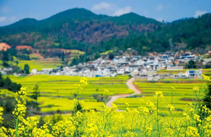 岳阳周末游,岳阳周边好去处,长沙周边好去处,长沙周边游玩景点,长沙周边游目的地 岳阳周末游,岳阳周边好去处,长沙周边好去处,长沙周边游玩景点,长沙周边游目的地